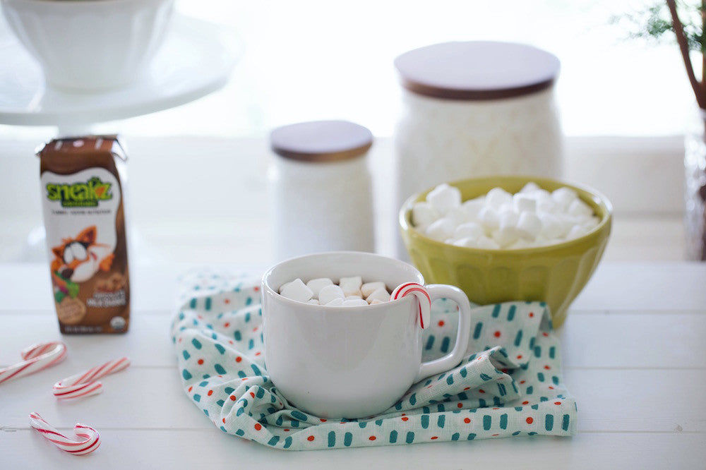 Organic Hot Chocolate Recipe